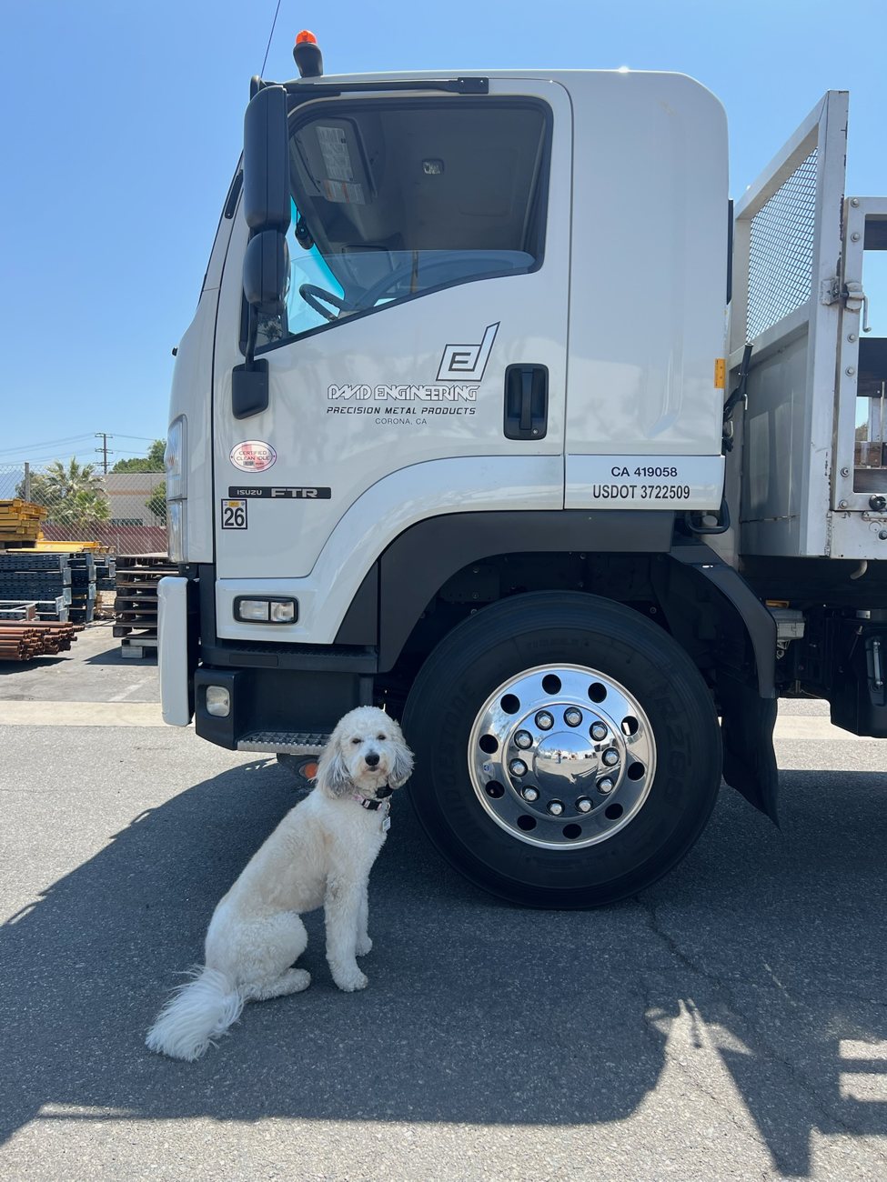 Malibu, the David Engineering shop dog, by a delivery truck in Corona, CA